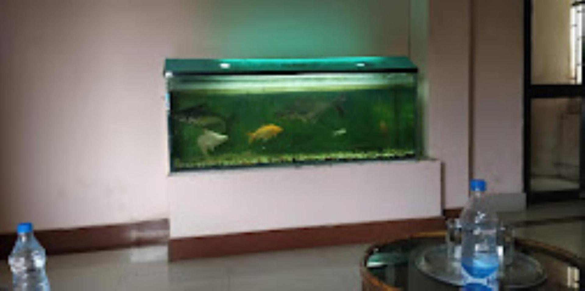 Hotel Blue Wheel,Bhubaneswar Esterno foto